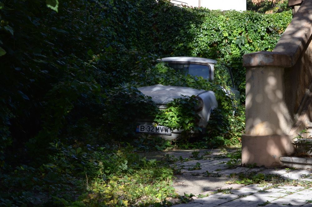 Photograph by Alexandru Manaf