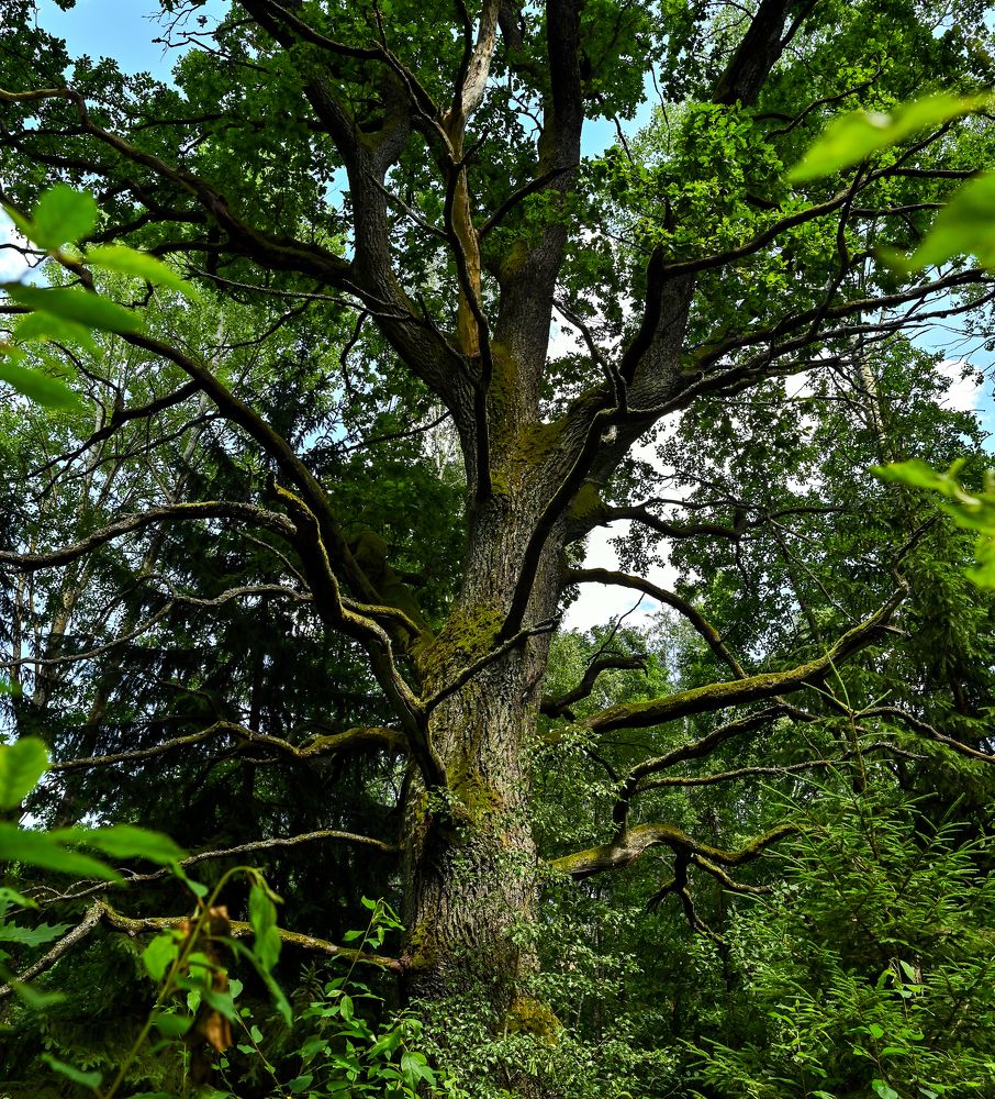 Photograph by Юлия Лис-а