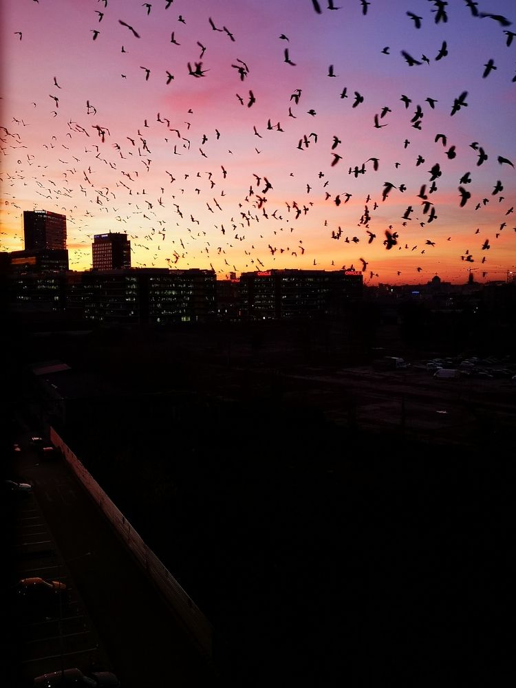 Photograph by Alexandru Manaf