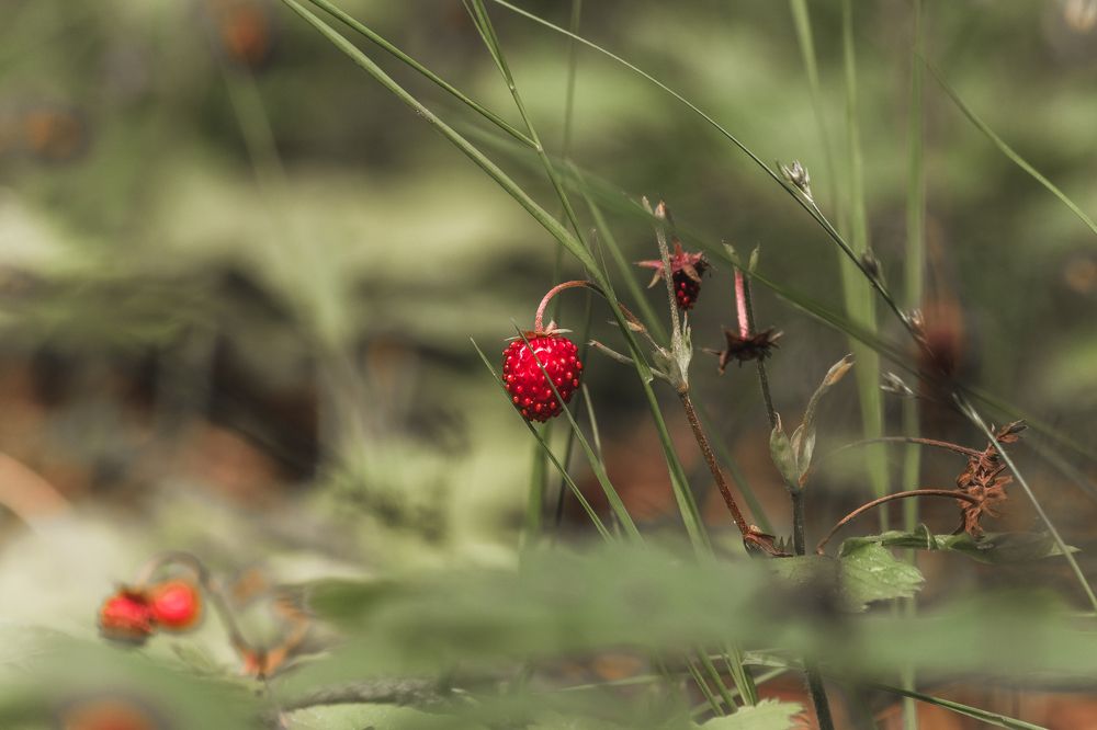 Photograph by Никита Волокитин