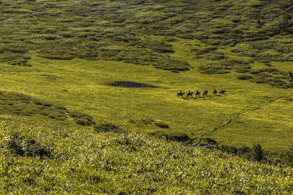 Photograph by Никита Волокитин