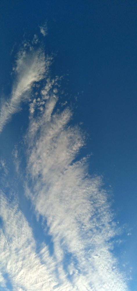 Photograph by Любовь Макарова