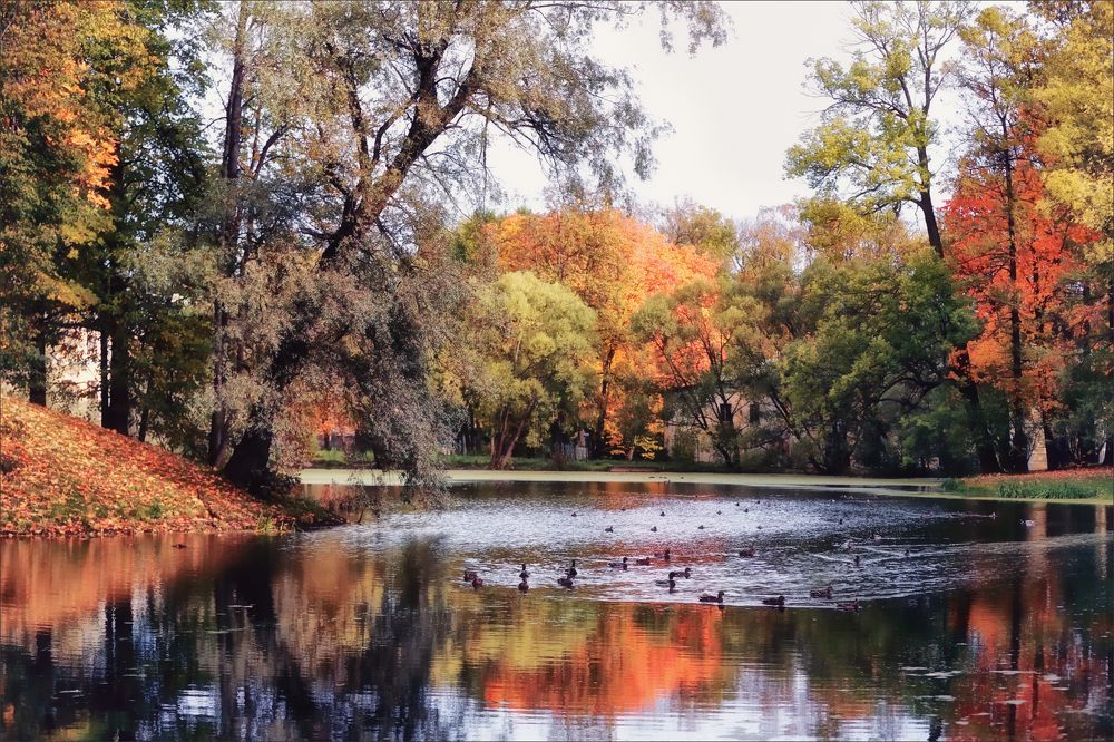 Photograph by Игорь Майоров