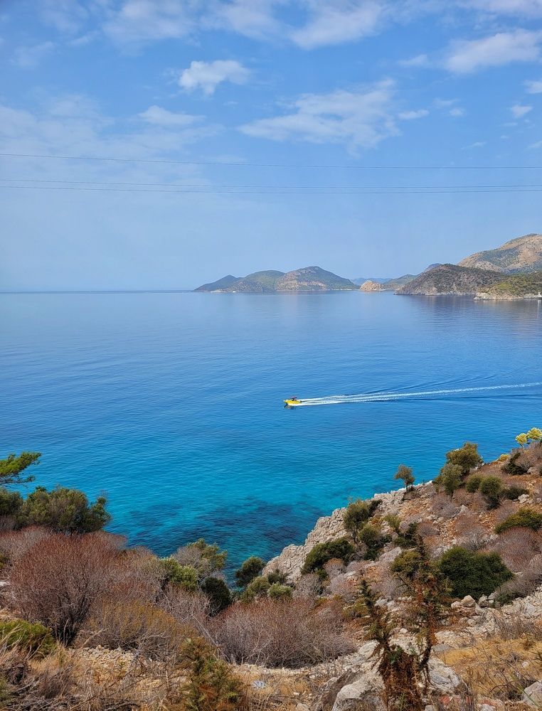 Photograph by Омильянчук Анна