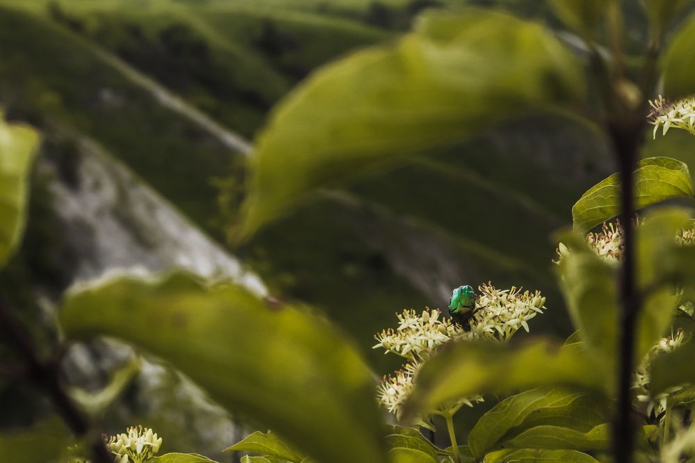 Photograph by Никита Волокитин