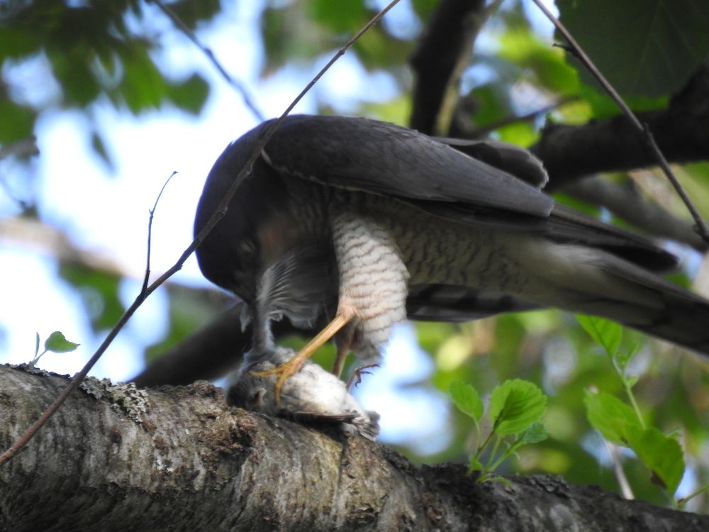 Photograph by Георгий Салюков
