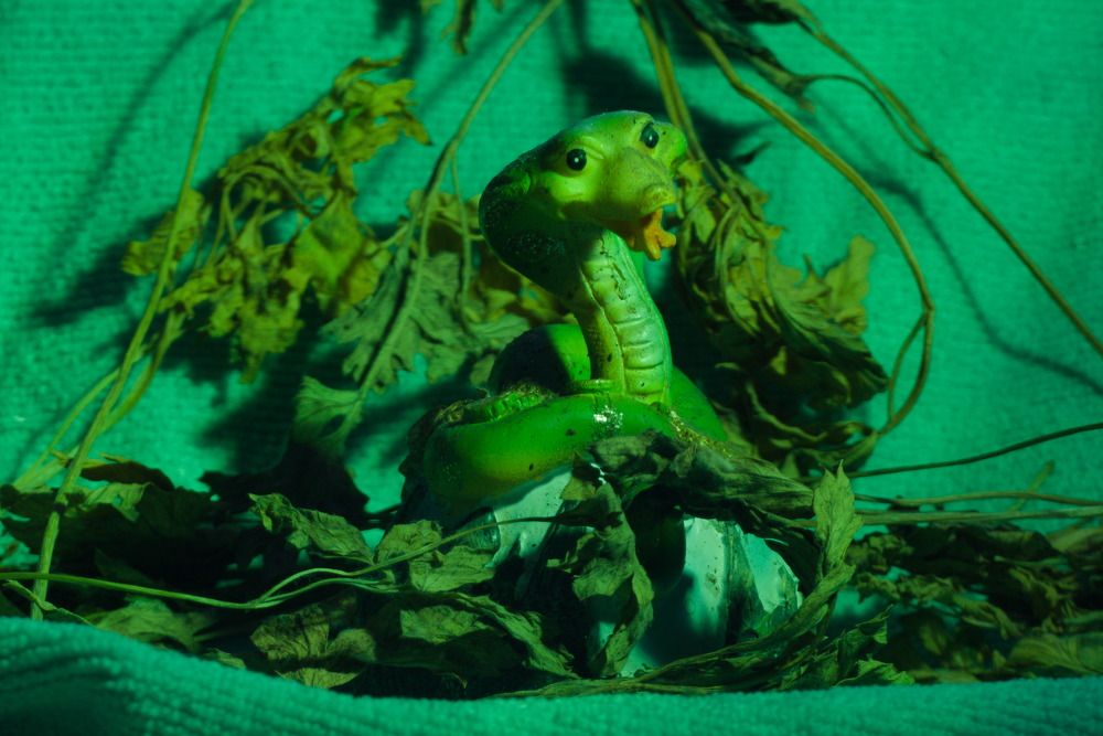 Photograph by Башлаев Константин