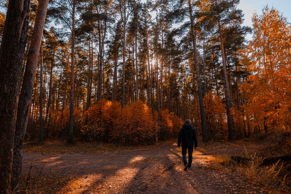 Фотография автора Сергей Федотов