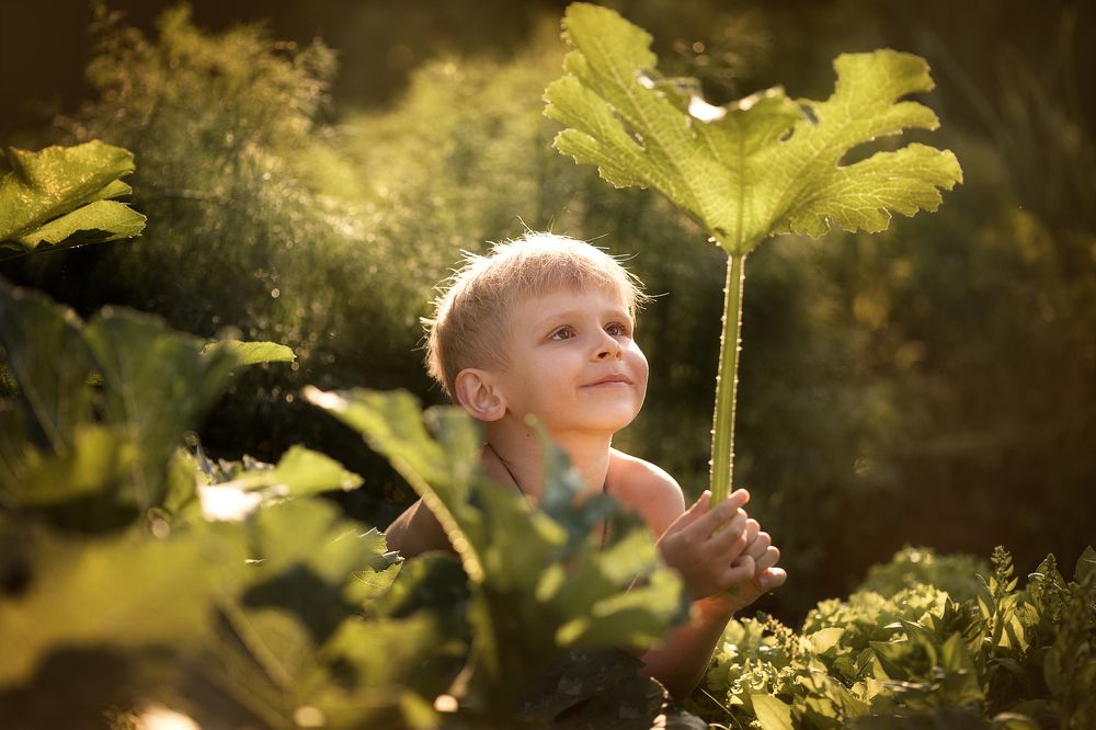 Photograph by Елена Сандалова