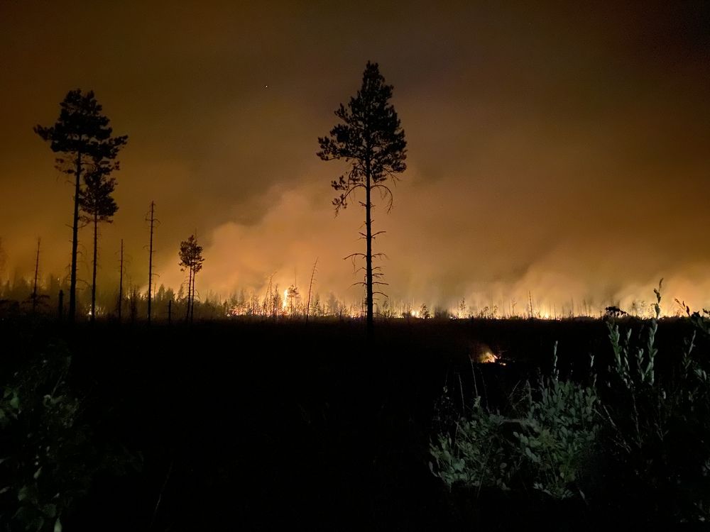 Лесной пожар