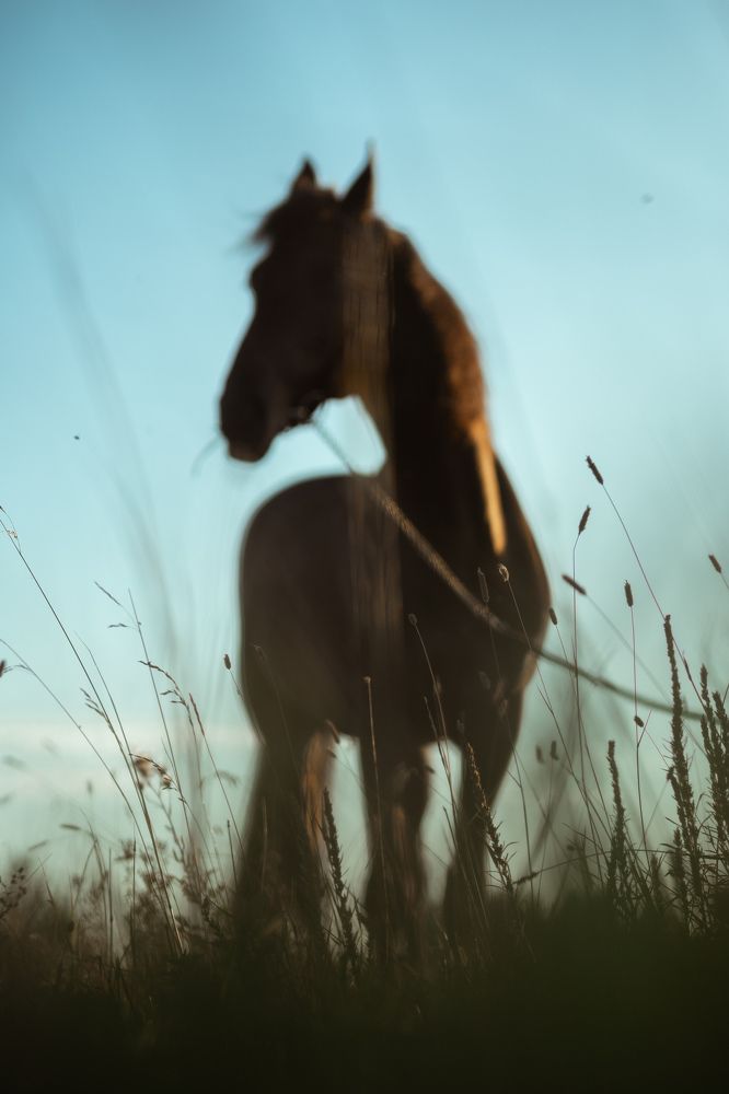 Photograph by Елена Сандалова