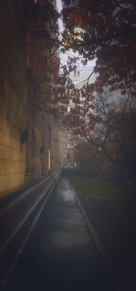 Photograph by Анна Вокуева