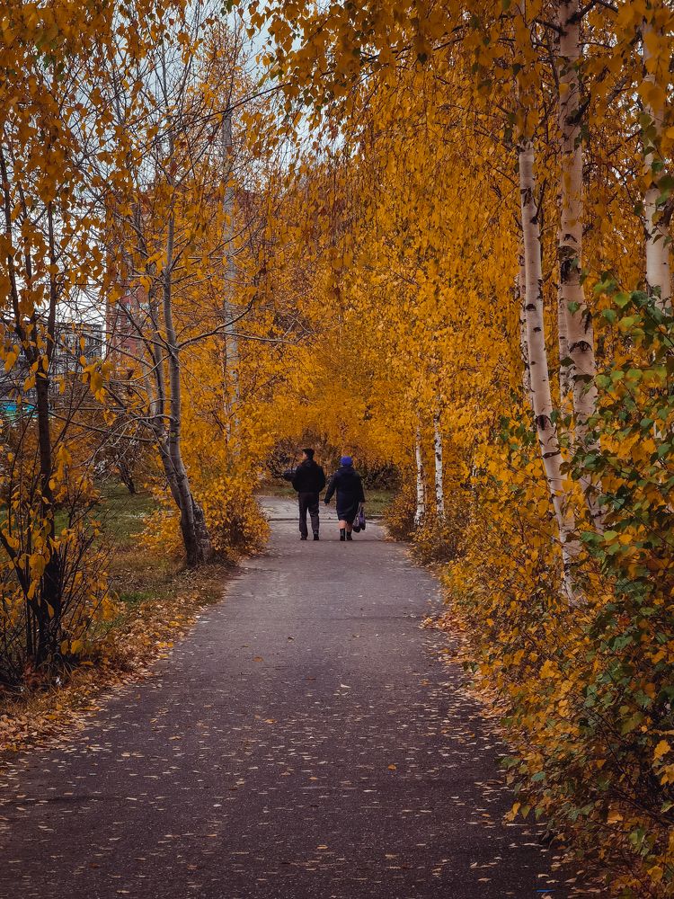 Photograph by Михаил Смирнов