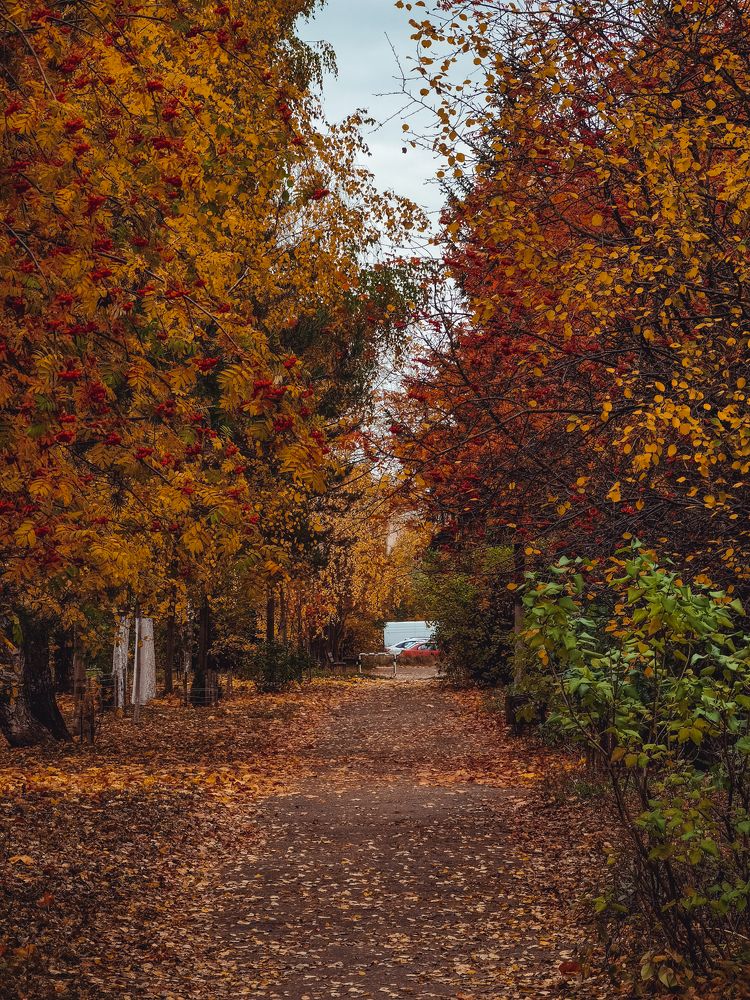 Photograph by Михаил Смирнов