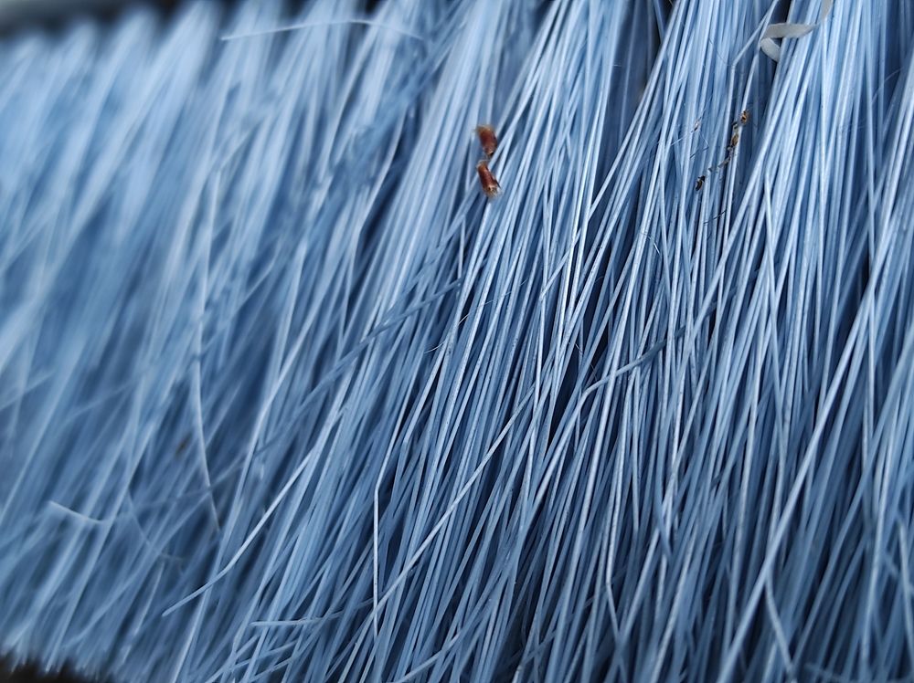 Photograph by Юлия Трап