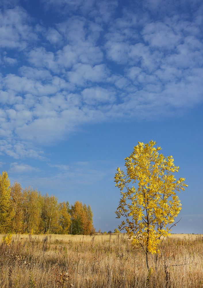 Photograph by Роман Рыжков