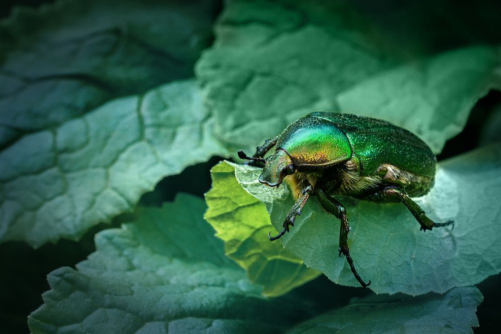 Фотография автора Ольга ЯR