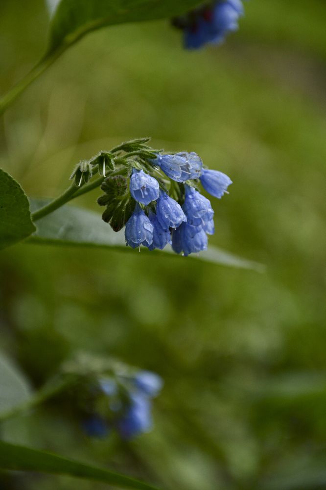 Photograph by Эмилия Лаце