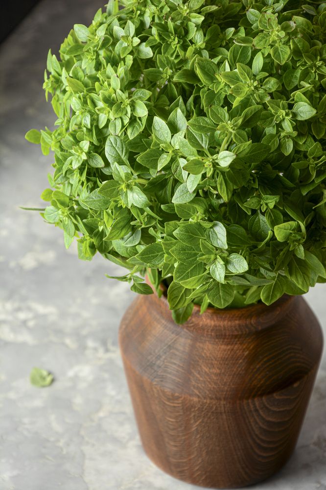 Photograph by Эмилия Лаце