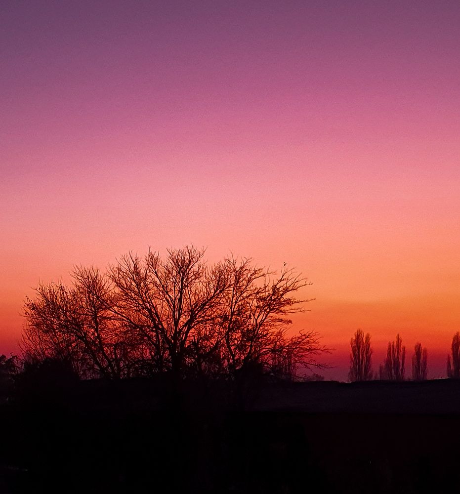 Photograph by Анастасия Трофимовская