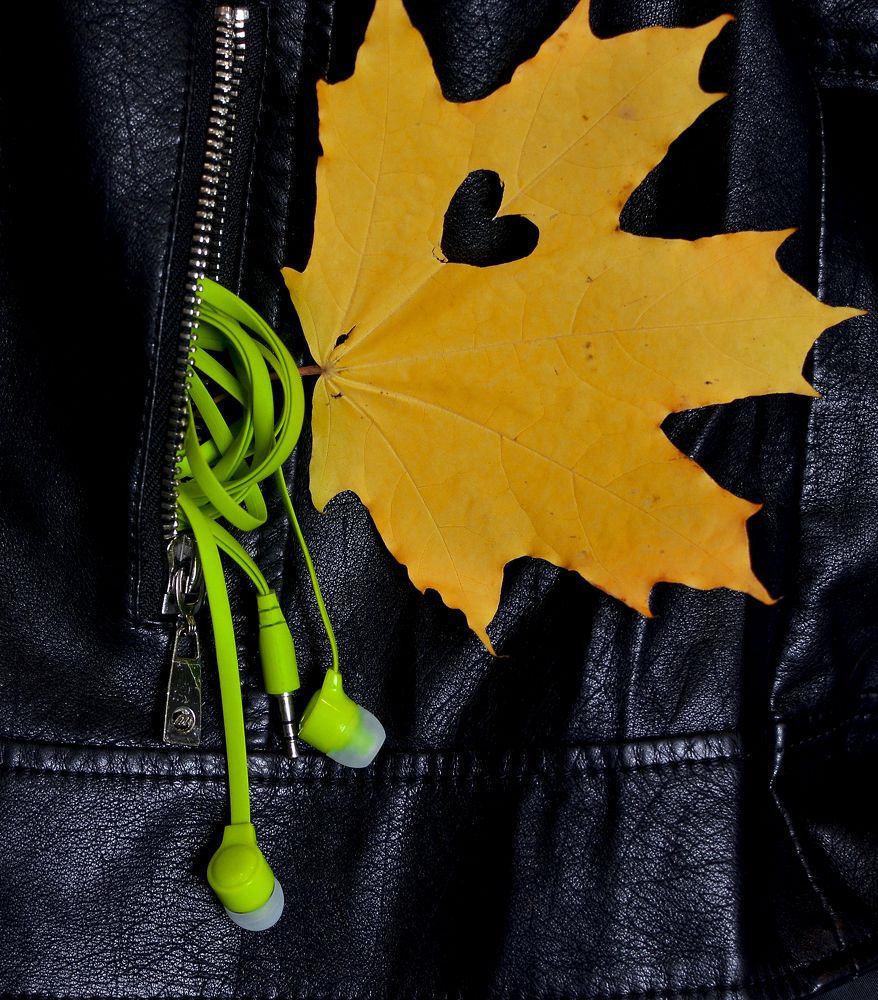 Photograph by Елена Фабрицкая