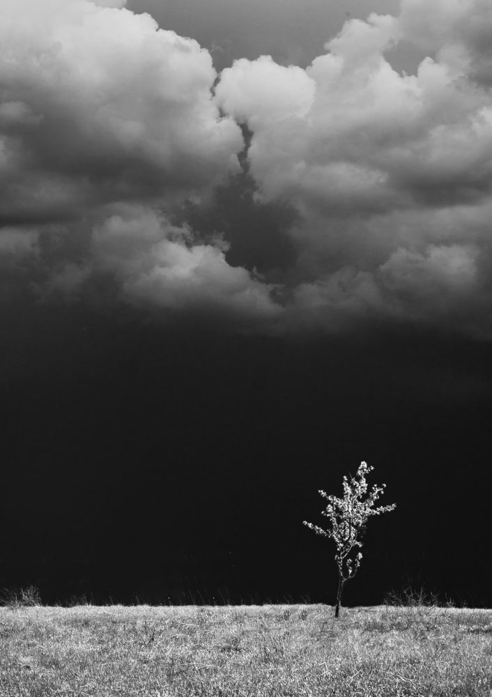 Photograph by Роман Рыжков