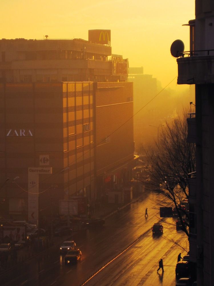 Photograph by Alexandru Manaf