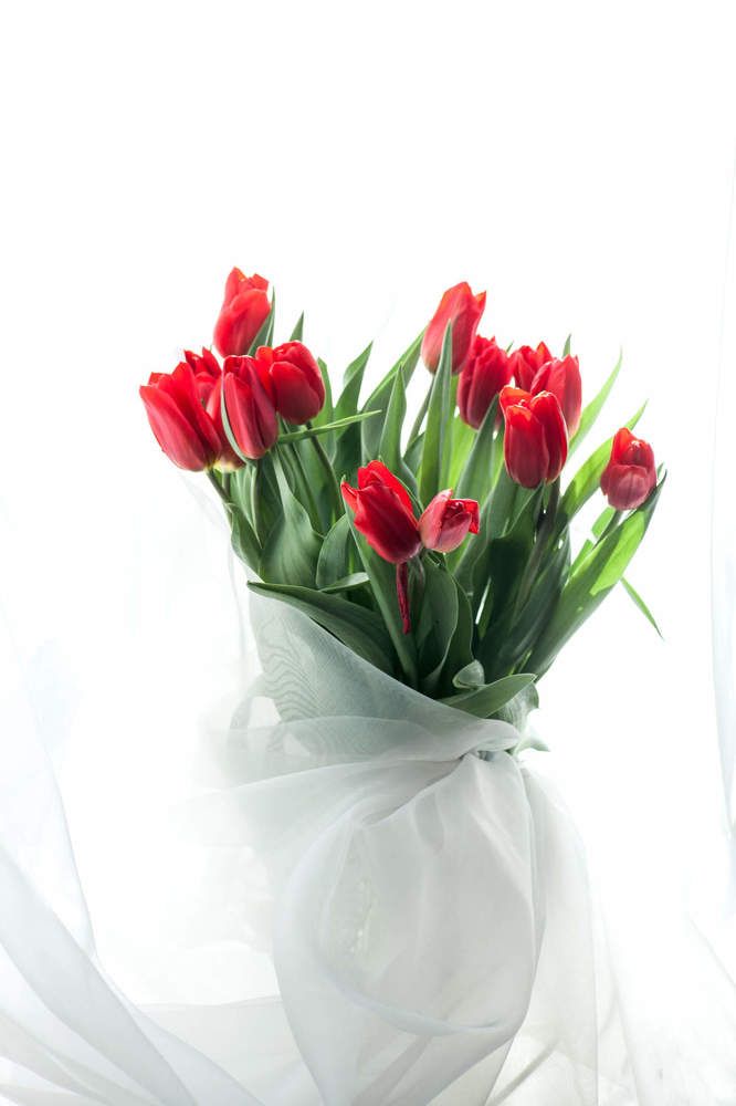 Photograph by Саркисян Вероника