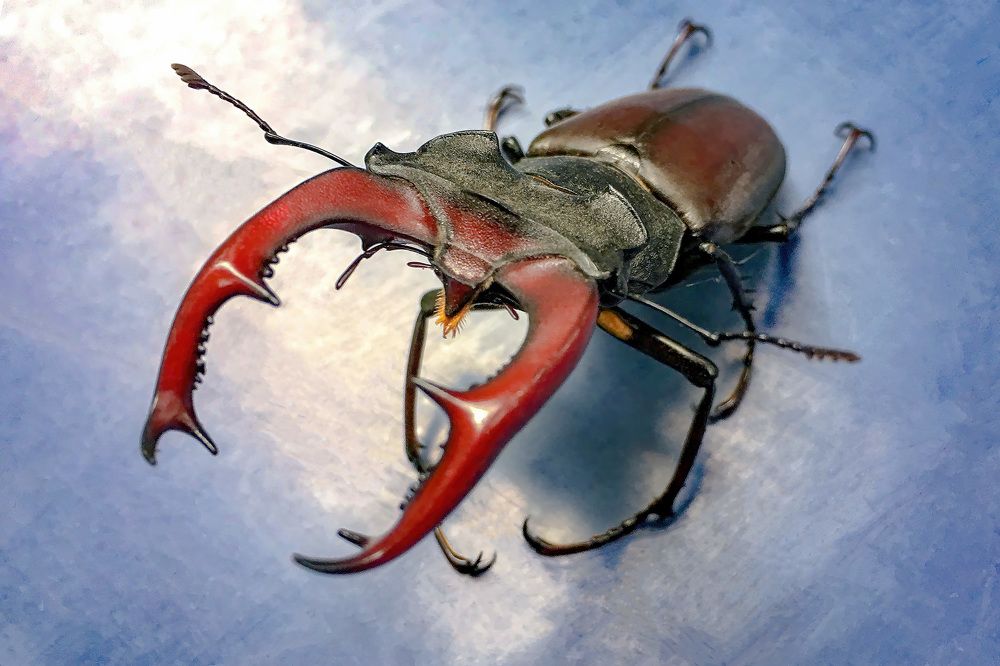 Photograph by Albert Zhager