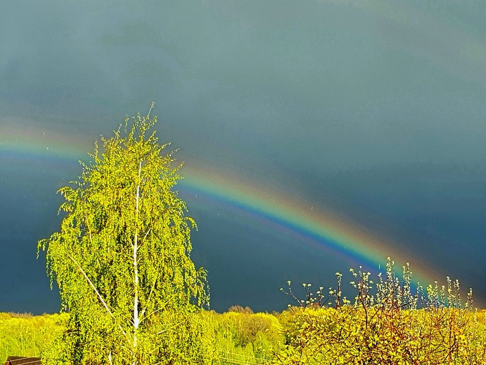 Photograph by Ева К