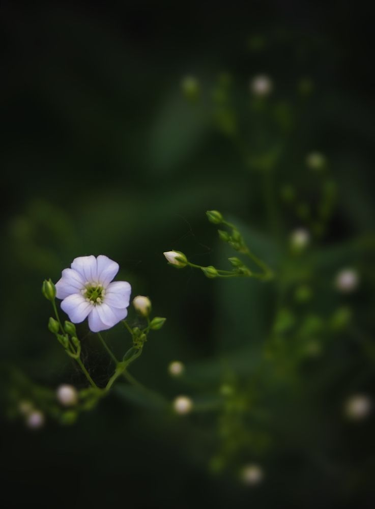 Photograph by Карина