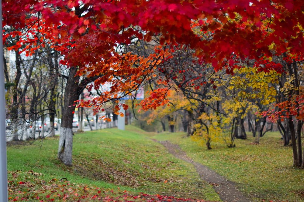 Photograph by Александр Кордюков