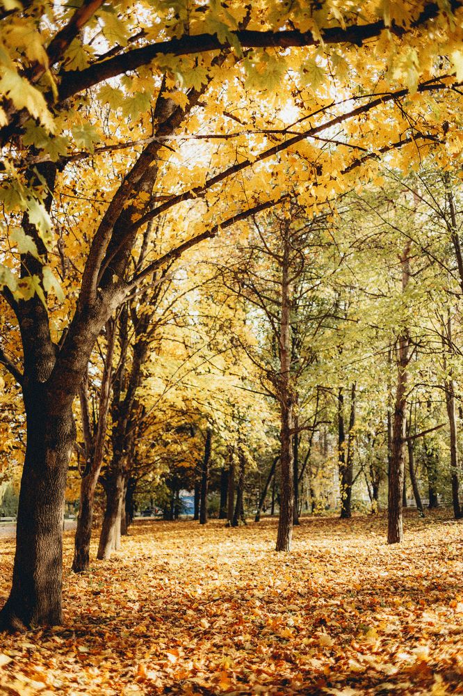 Photograph by Евгения Юдина