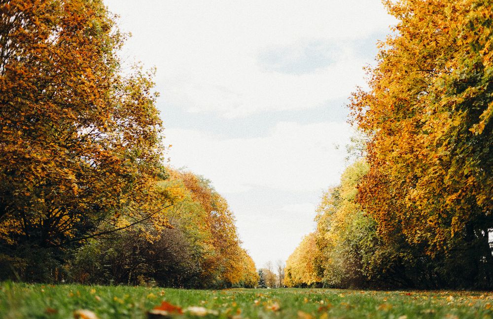 Photograph by Евгения Юдина