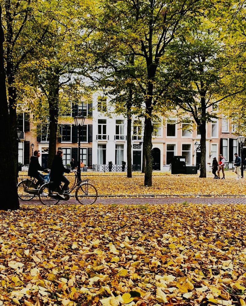 Photograph by Svetlana Kornilova