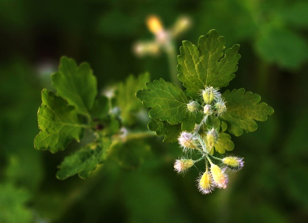 Photograph by Галина Искандарова