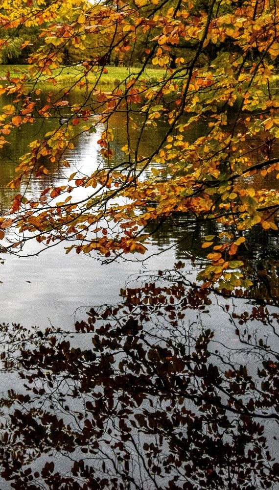 Photograph by Alena Smolianinova