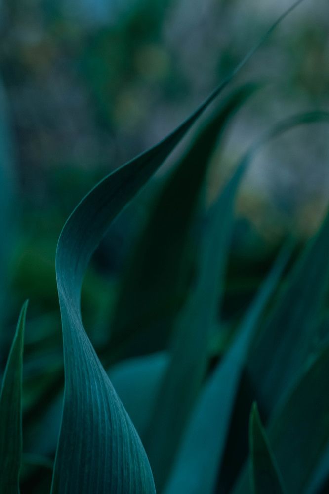 Photograph by Anna Turks