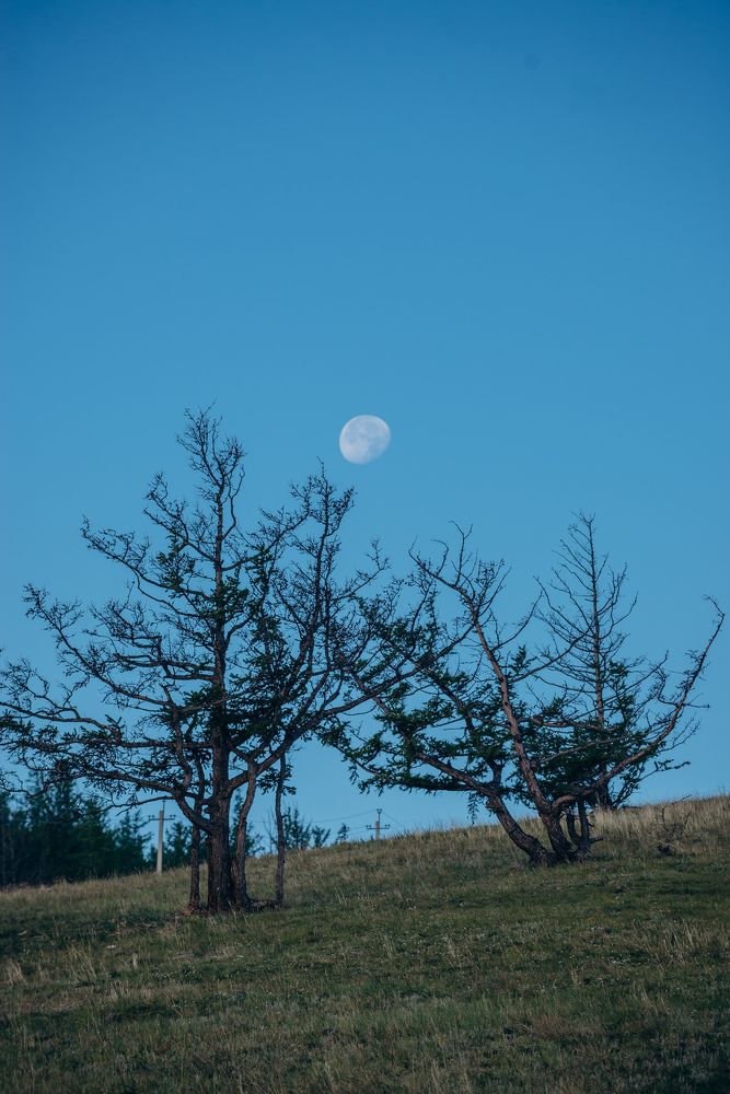 Photograph by Аурика Митеску