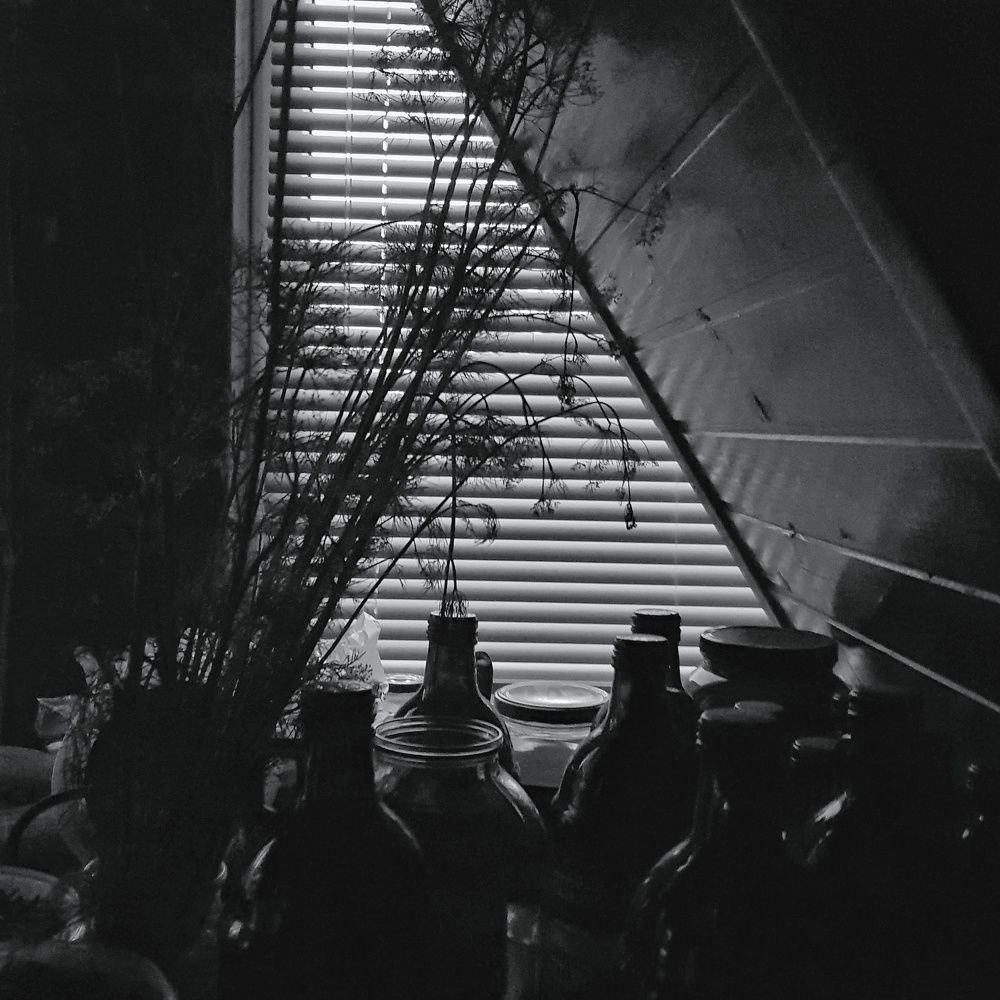 Дачный натюрморт