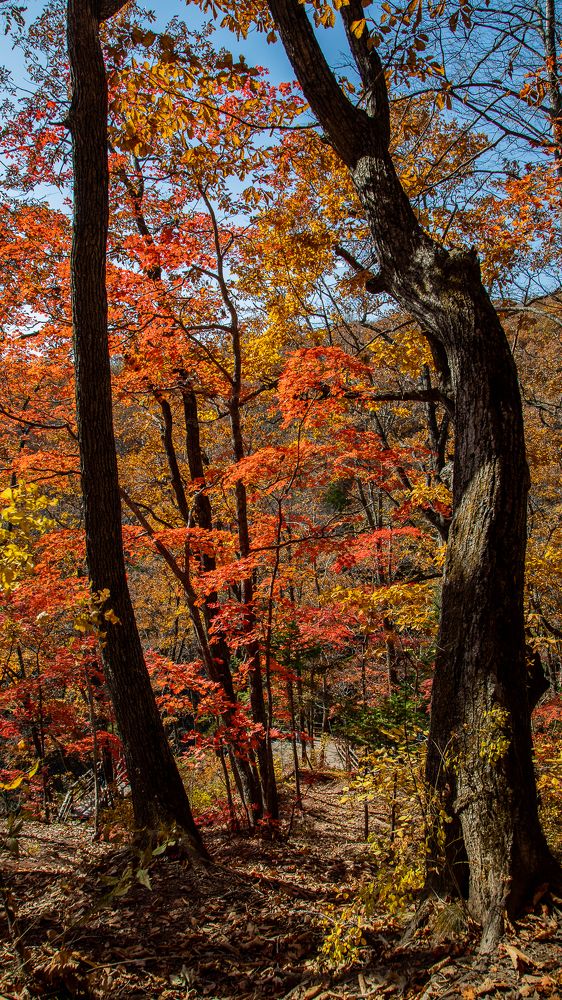 Photograph by Николай Чухрай