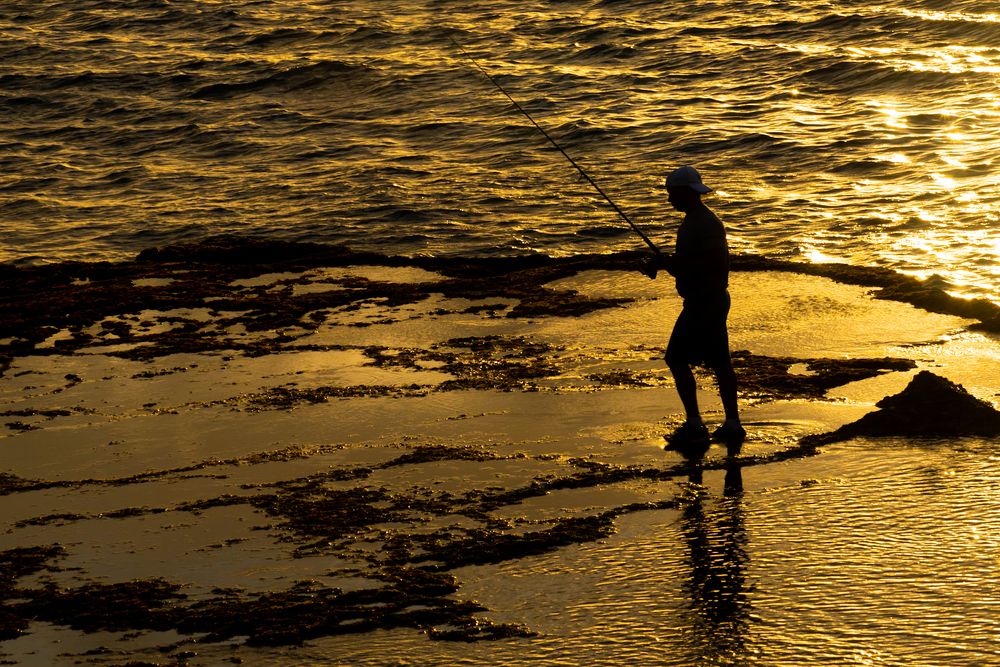 Photograph by Eddy Vittini