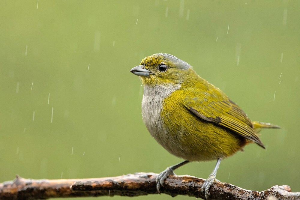 Photograph by Eduardo Bom