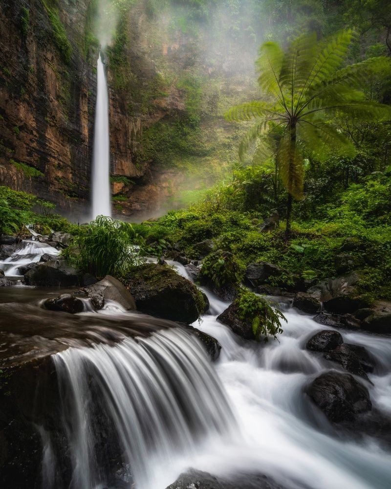 Фотография автора Wahid Hasyim