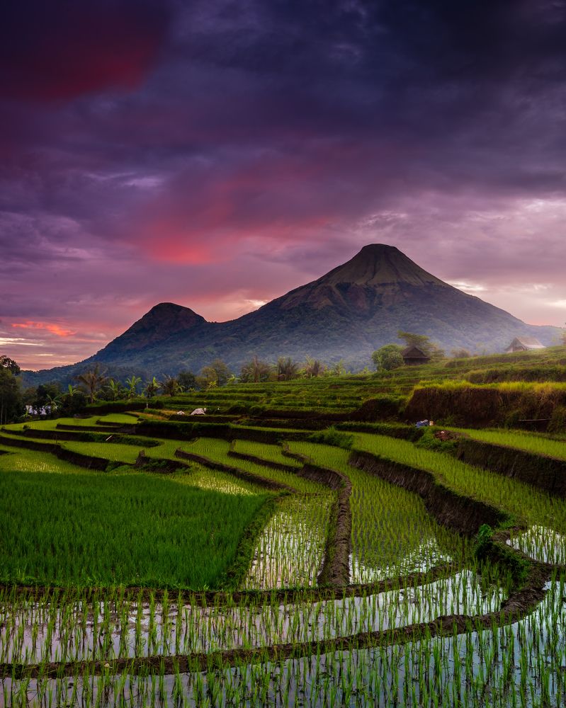 Фотография автора Wahid Hasyim