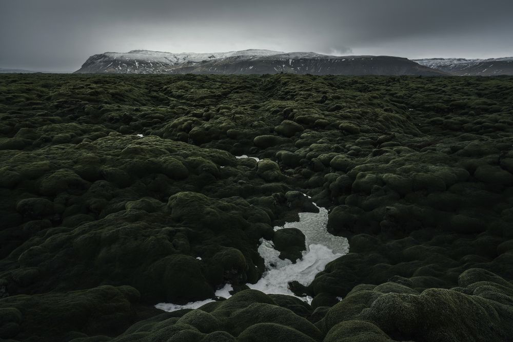 Photograph by Cesare Malatesta