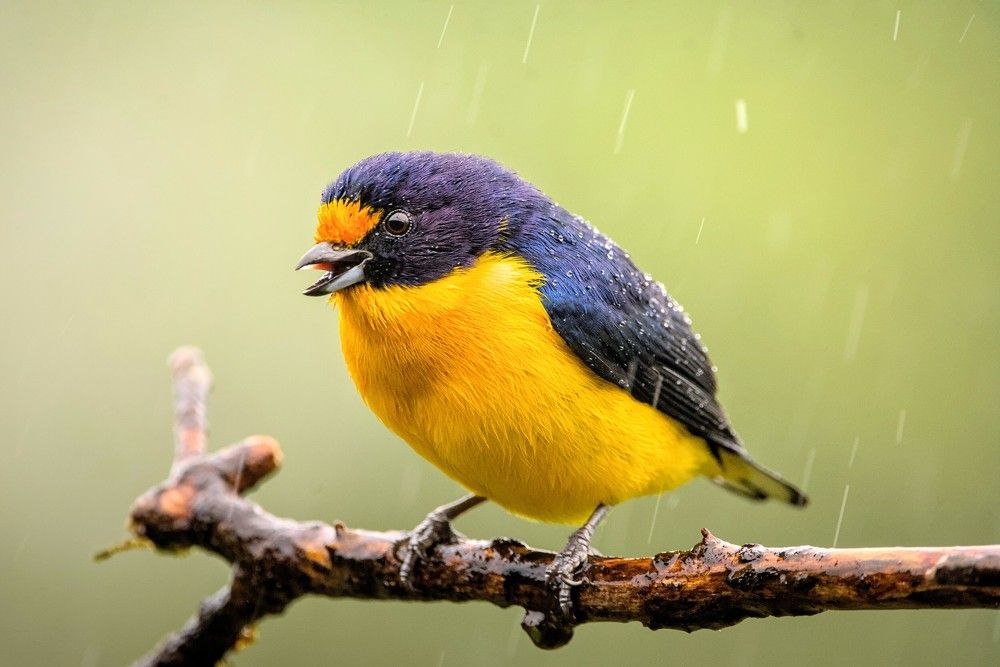 Photograph by Eduardo Bom