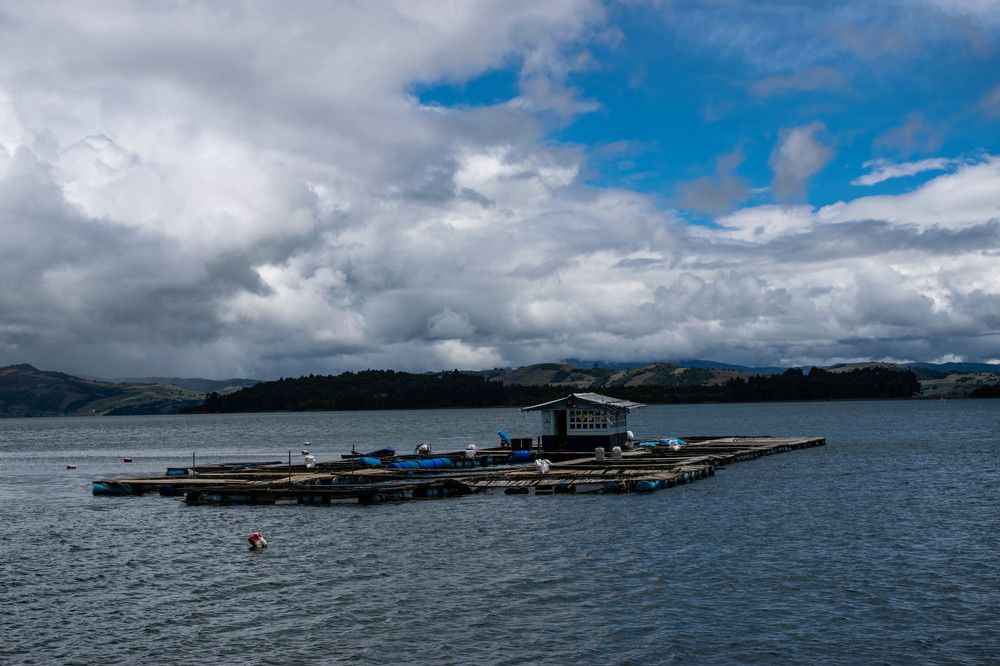 Фотография автора Jose Marcos Carvajal Tarazona