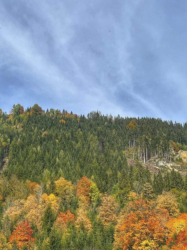 Фотография автора Mahshad Razavi