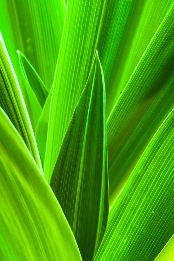 Фотография автора Ko Thant